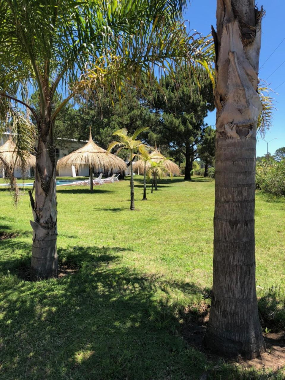 Arenas Del Sol Hotell Punta del Este Eksteriør bilde